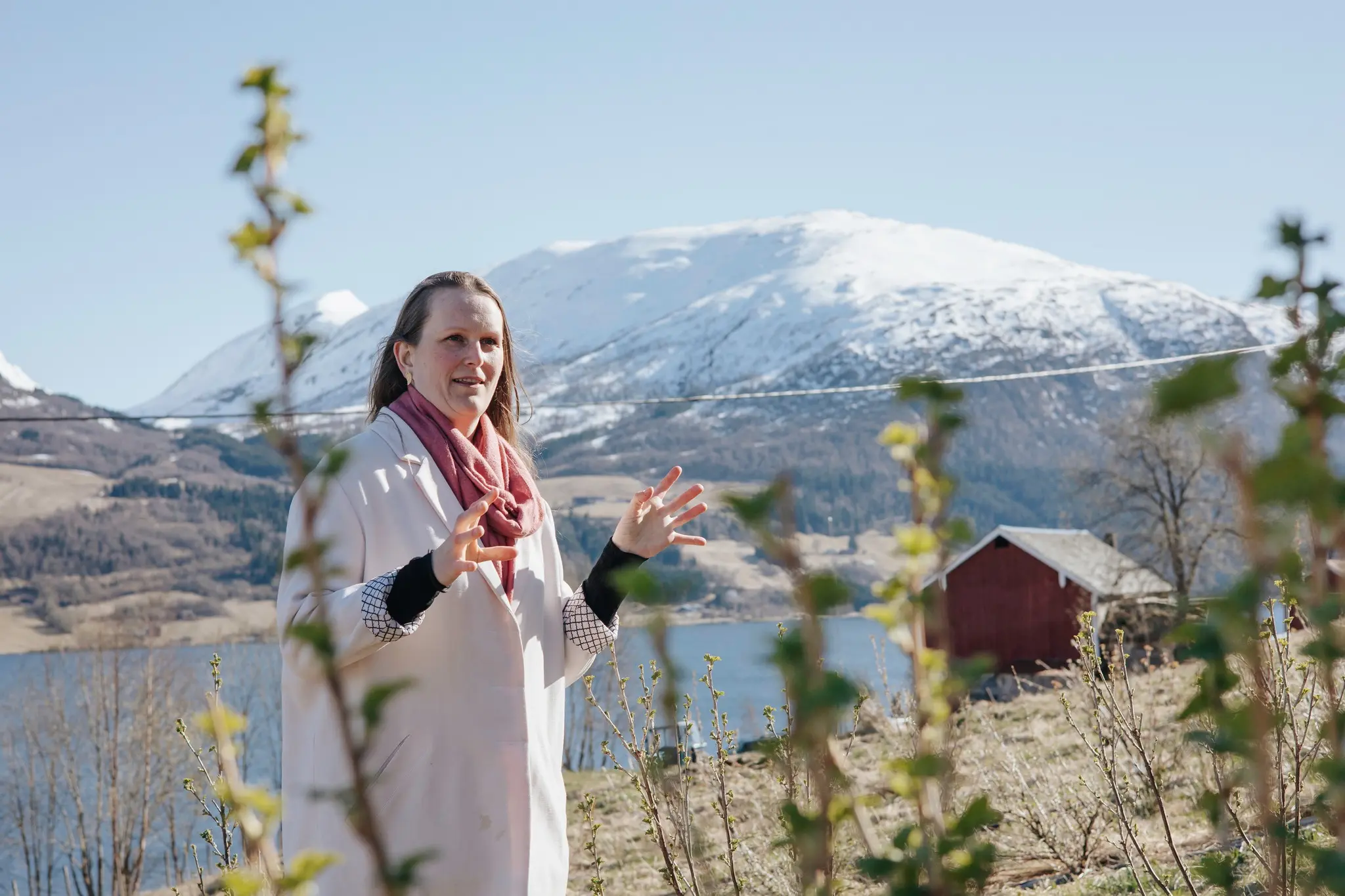 Med vin i segla – til det stoppa opp